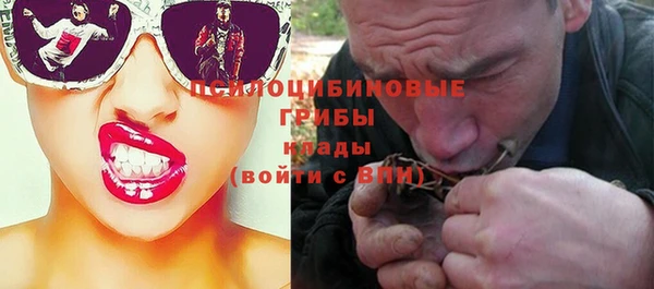ALPHA PVP Белокуриха