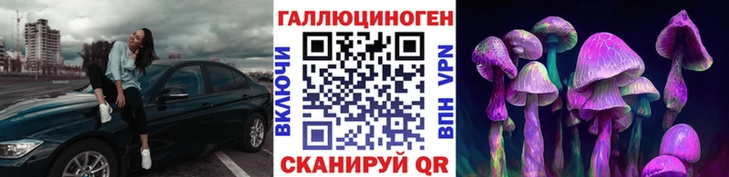 цена Очёр Псилоцибиновые грибы MAGIC MUSHROOMS